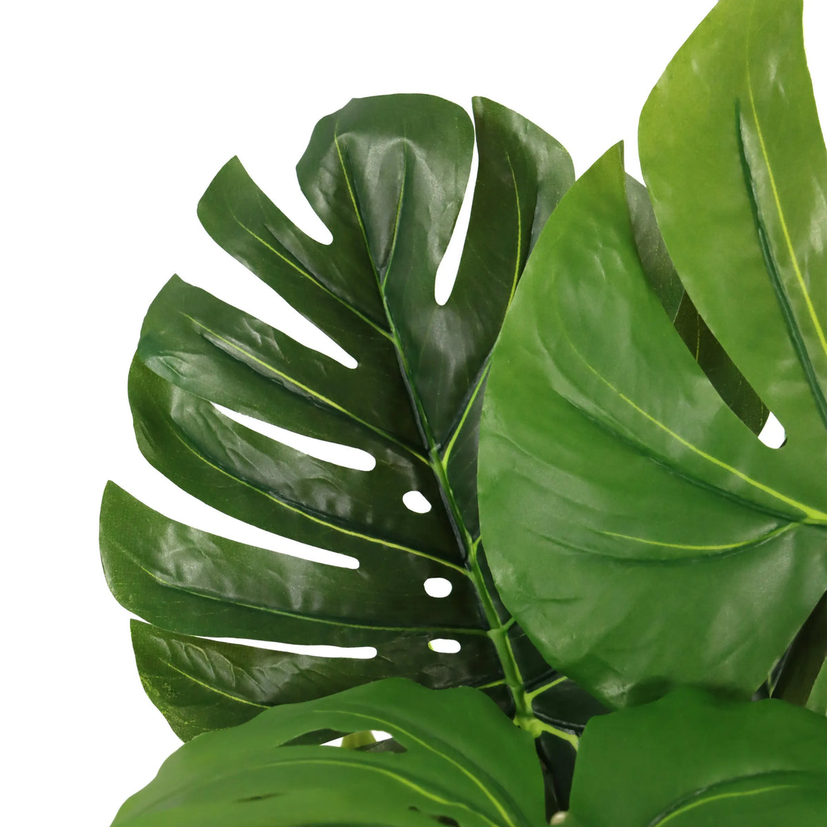 Foglie verdi della Piante artificiali MONSTERA I di hjh OFFICE