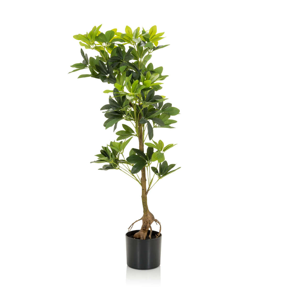 Piante artificiali verdi SCHEFFLERA con rami ramificati in un vaso nero di hjh OFFICE – vista a 360° (vista frontale 0°)