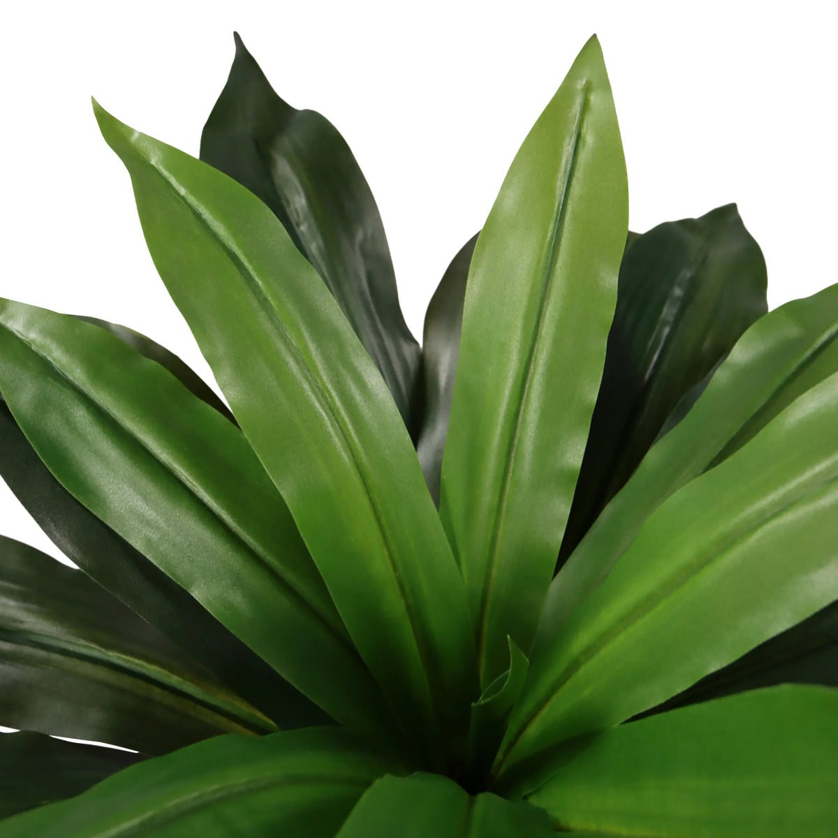 Foglie verdi della Piante artificiali DRACAENA I di hjh OFFICE