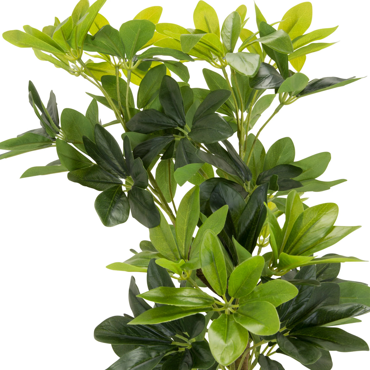 Foglie verdi della pianta artificiale SCHEFFLERA di hjh OFFICE