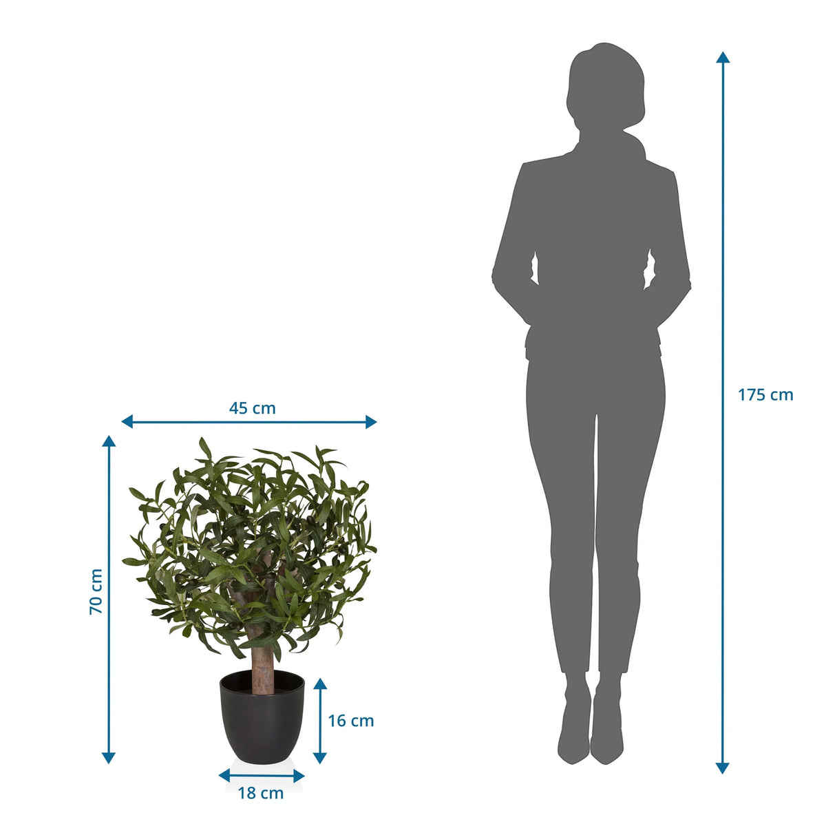 Vista dimensionale delle Piante artificiali Olive S con un'altezza di 70 cm e una larghezza di 45 cm di hjh OFFICE