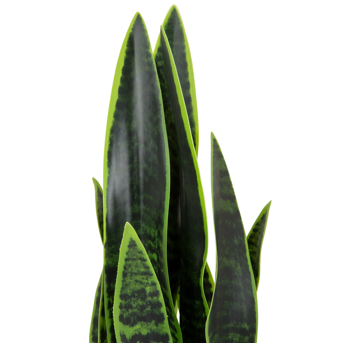 Foglie verdi della pianta artificiale SANSEVIERIA con motivi verde scuro di hjh OFFICE