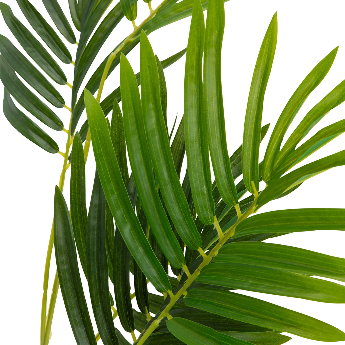 Foglie verdi della pianta artificiale ARECA I di hjh OFFICE