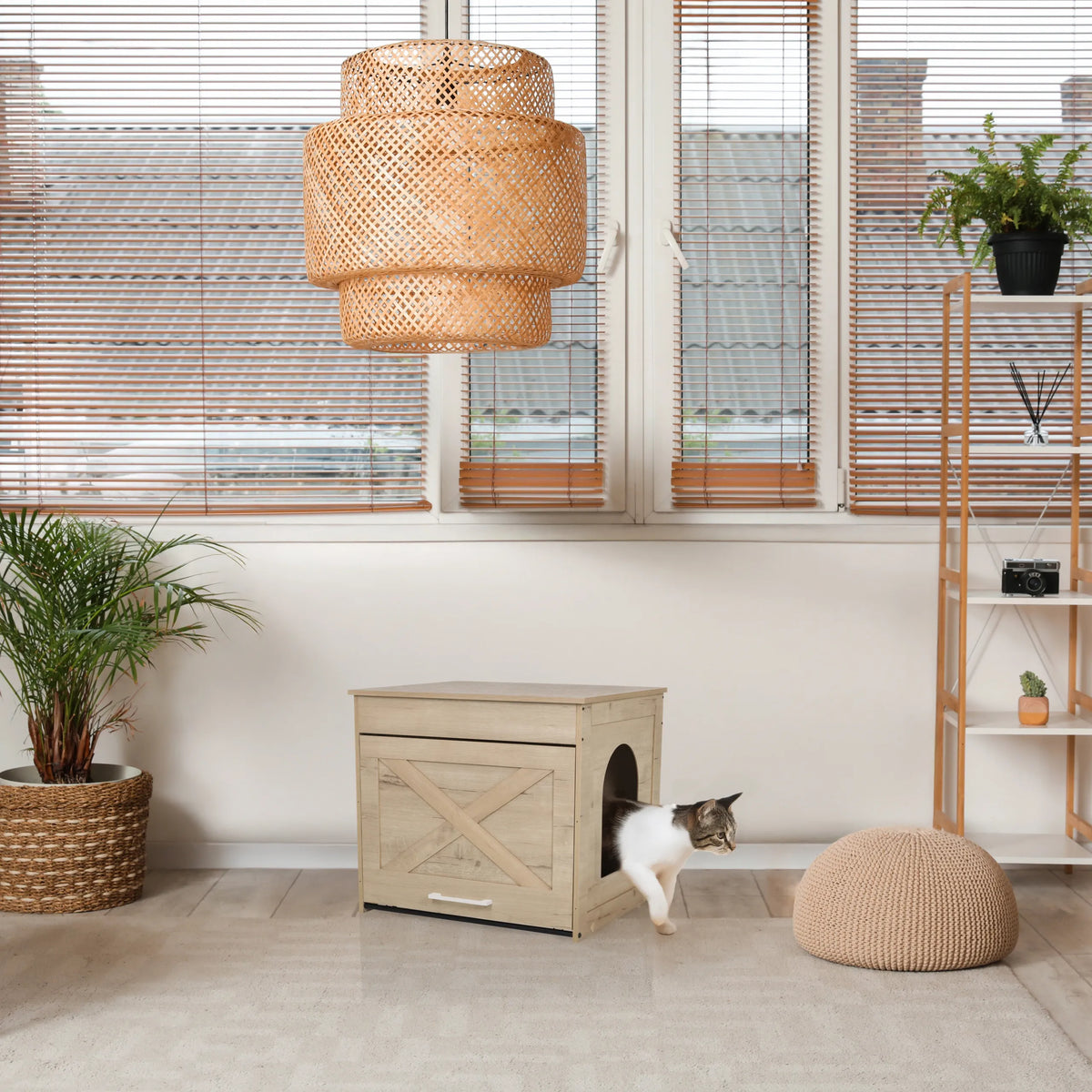 Cuccia per gatto KITTY PAWBOX 1 in effetto rovere con ingresso circolare e decorazione frontale di hjh LIVING