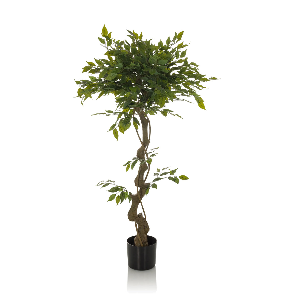 Pianta artificiale verde FICUS I con fusto intrecciato in un vaso nero di hjh OFFICE – vista a 360° (vista frontale 0°)