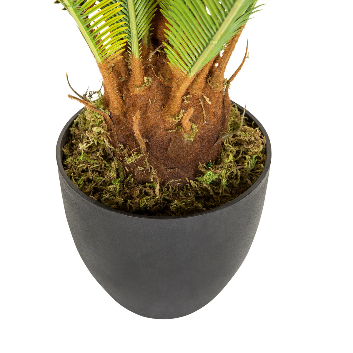 Tronco e vaso esterno nero della Pianta artificiale CYCAS di hjh OFFICE