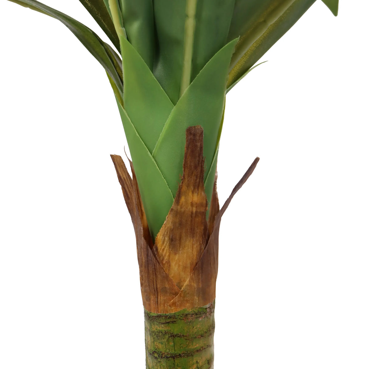 Base del fusto e foglie verdi delle Piante artificiali DRACAENA I di hjh OFFICE