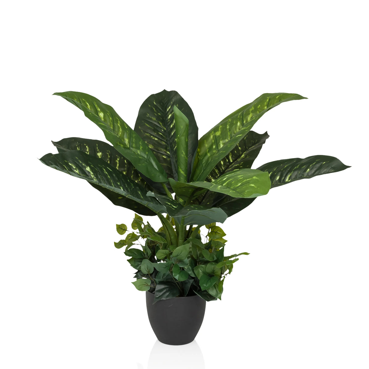 DIEFFENBACHIA - Piante artificiali