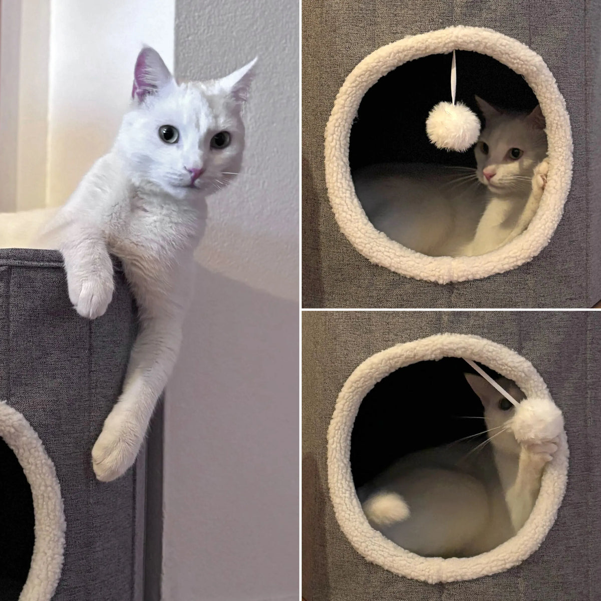 Cuccia chiusa per gatto PAWY R grigia con morbida fodera interna bianca e pallina giocattolo di hjh LIVING