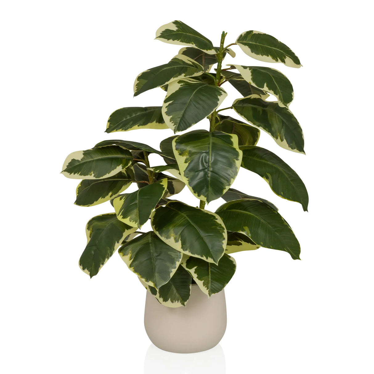 Ficus 3 - Piante artificiali