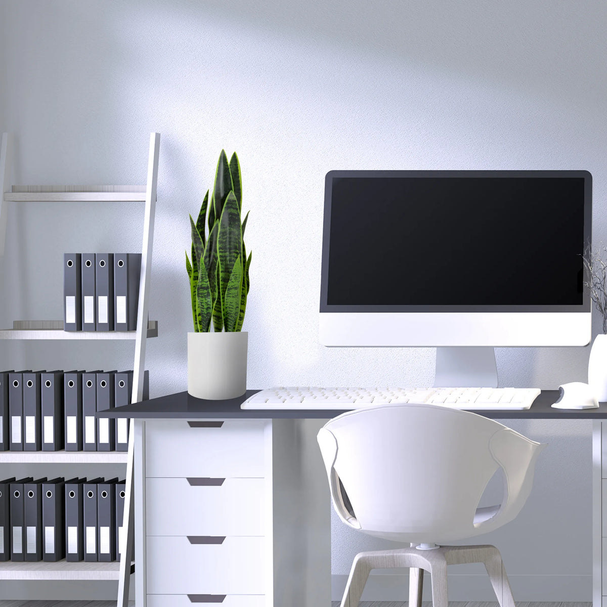 Pianta artificiale verde SANSEVIERIA in un vaso bianco su una scrivania di hjh OFFICE