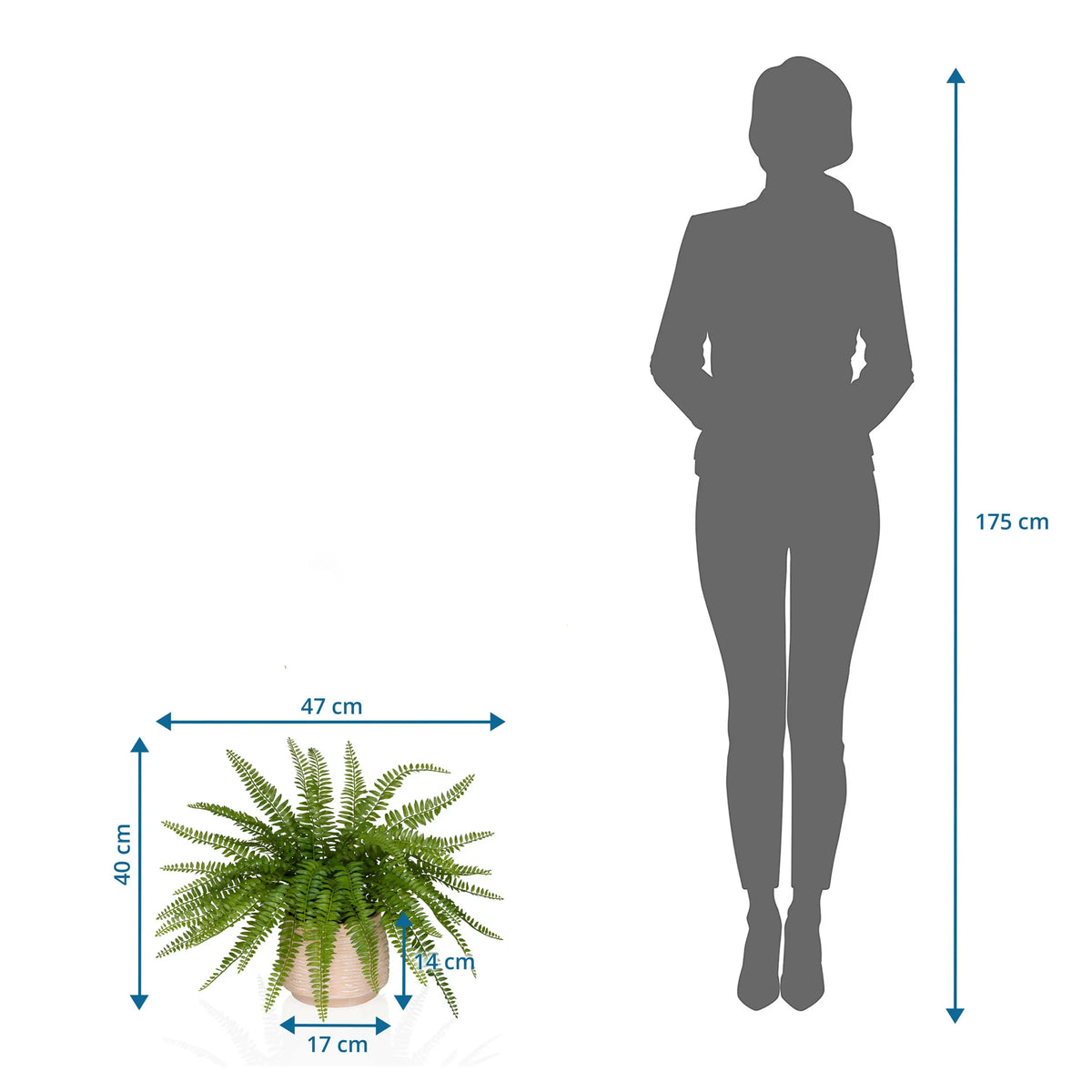 Disegno tecnico della Piante artificiali Proliferum di 47 x 40 cm accanto alla silhouette di una persona di hjh OFFICE