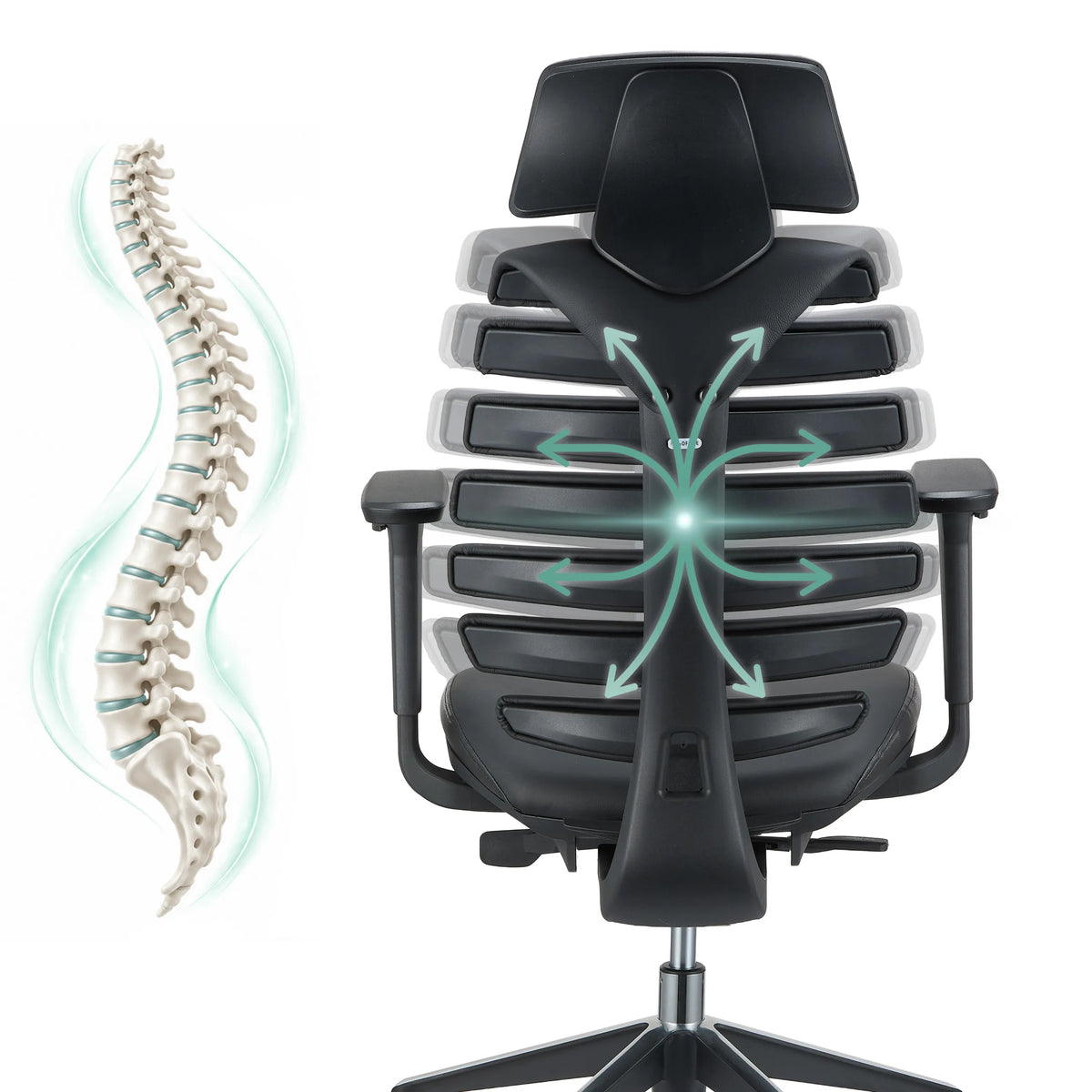 Schienale della sedia da ufficio professionale ERGO LINE II PRO con rappresentazione schematica della colonna vertebrale di hjh OFFICE