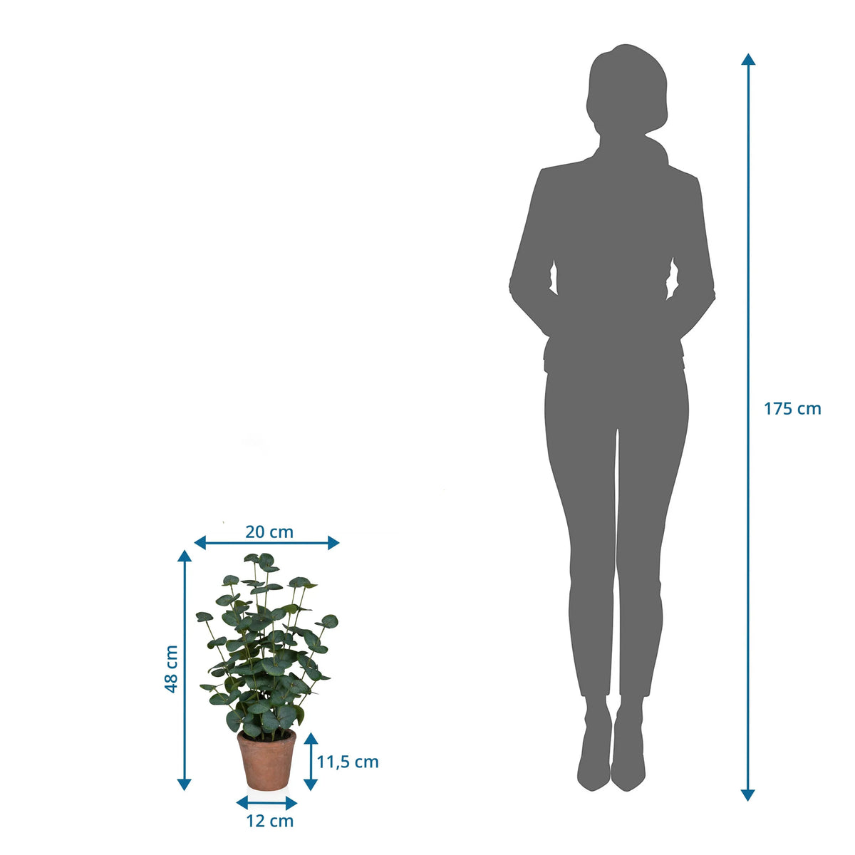 Disegno tecnico della Piante artificiali Eucalyptus con un'altezza di 48 cm accanto alla silhouette di una persona di hjh OFFICE