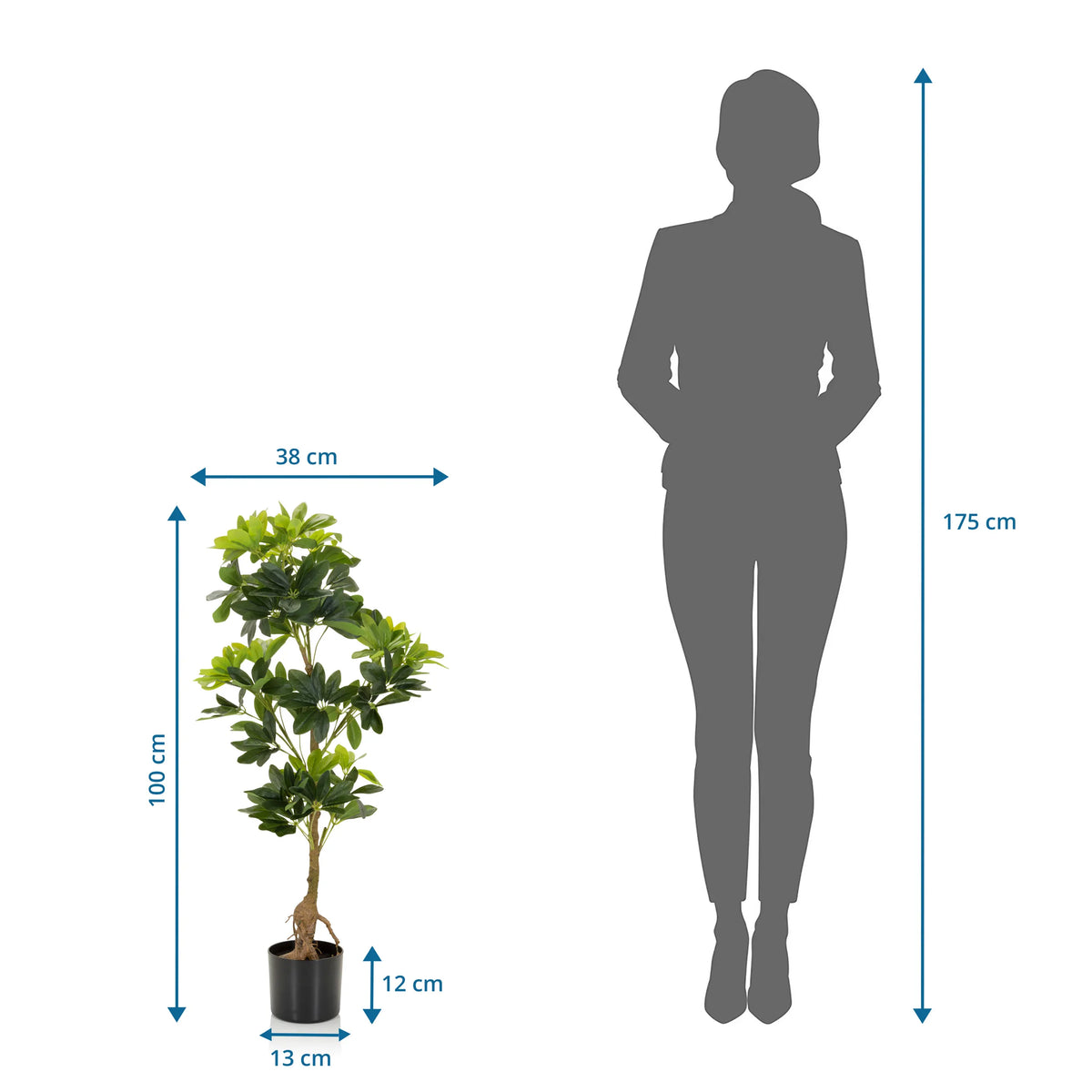 Vista dimensionale della Piante artificiali SCHEFFLERA con altezza di 100 cm e larghezza di 38 cm di hjh OFFICE