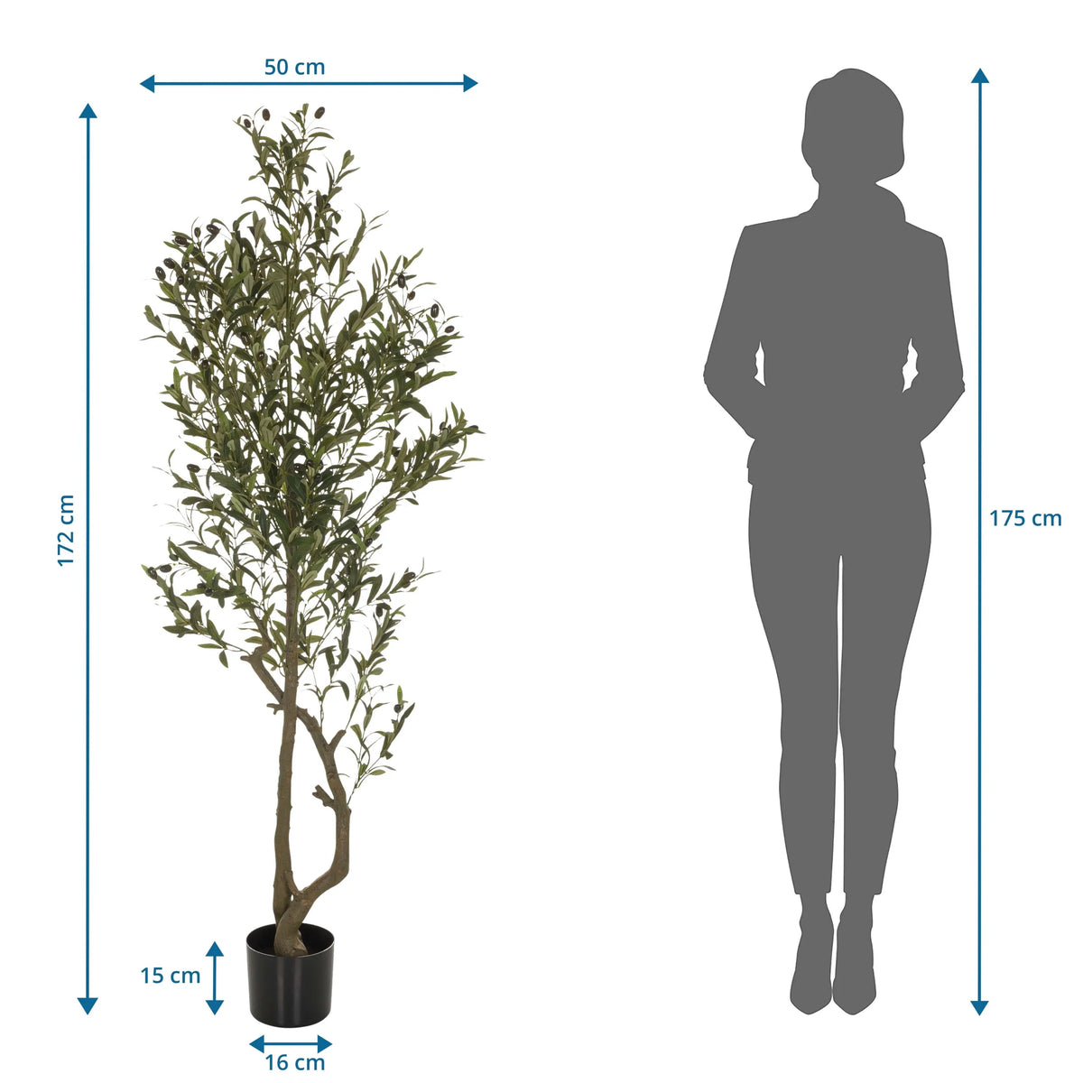 Disegno tecnico delle Piante artificiali OLIVE I con un'altezza di 172 cm di hjh OFFICE