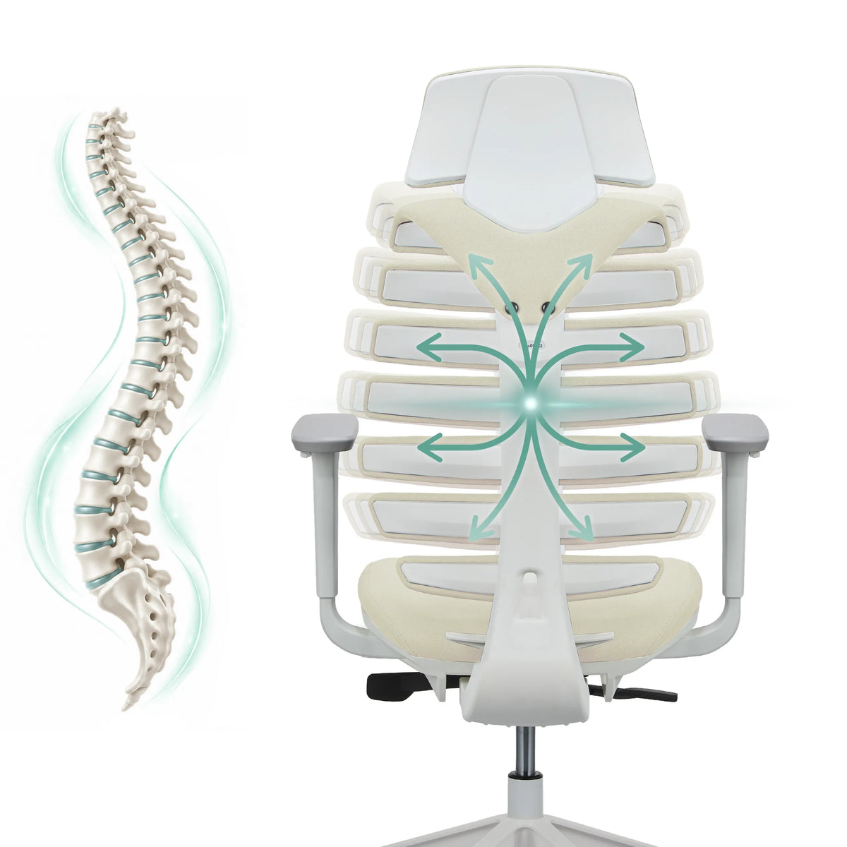Schienale della sedia da ufficio professionale ERGO LINE W con una rappresentazione schematica della colonna vertebrale di hjh OFFICE