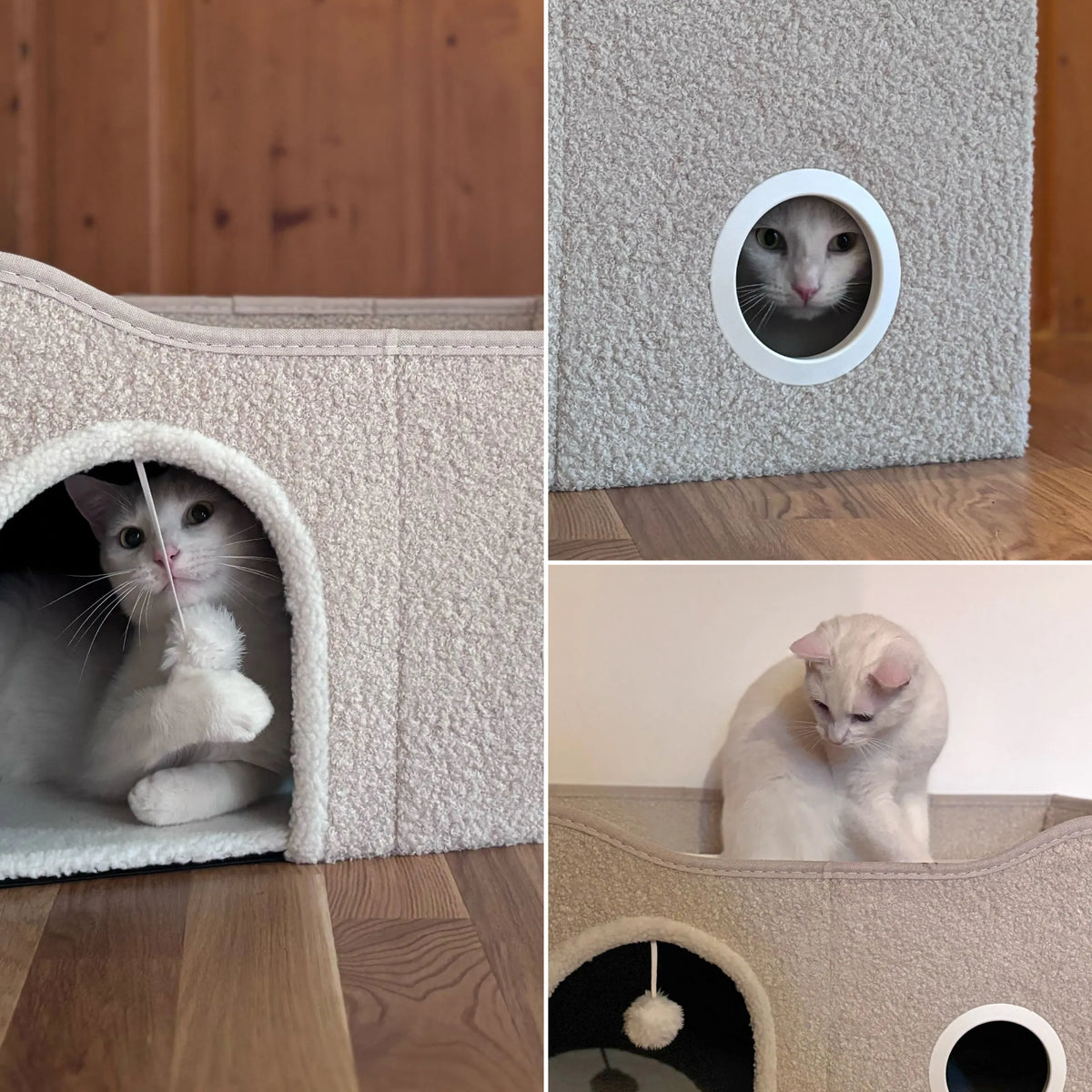 Cuccia chiusa per gatto PAWY EB beige con ingresso rotondo, pallina da gioco e un gatto bianco di hjh LIVING
