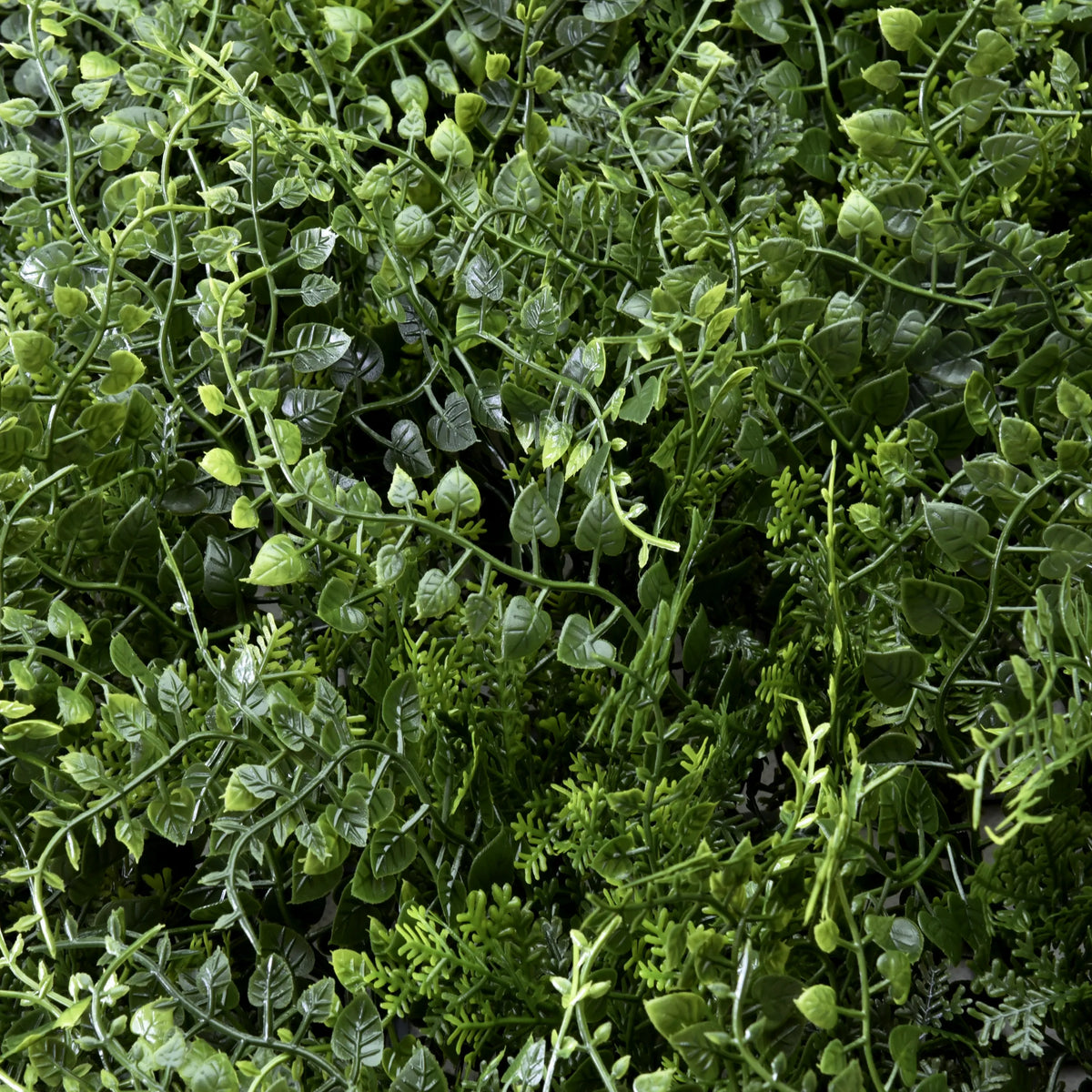 Foglie verdi del pannello vegetale LEAFLUXE 2 di hjh LIVING