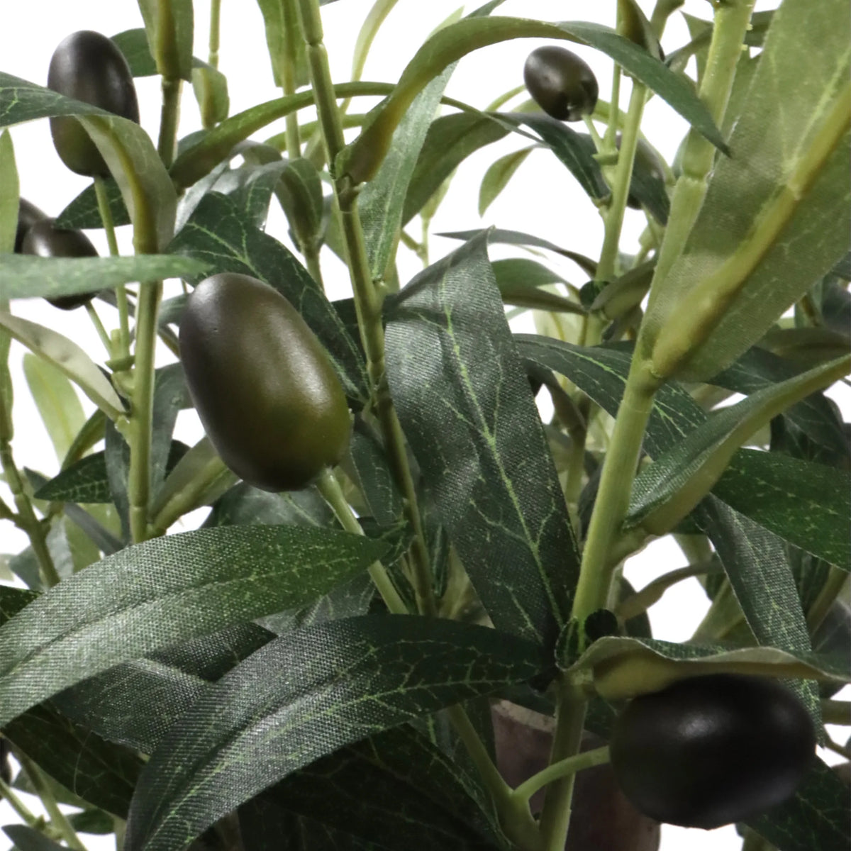 Foglie verdi e olive scure della Piante artificiali Olive S di hjh OFFICE