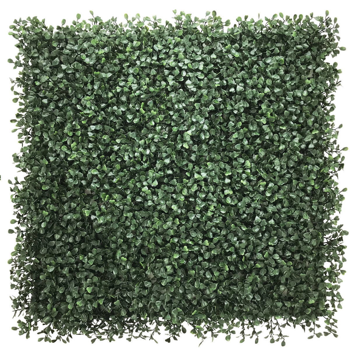 LEAFLUXE 1 - Pannello vegetale