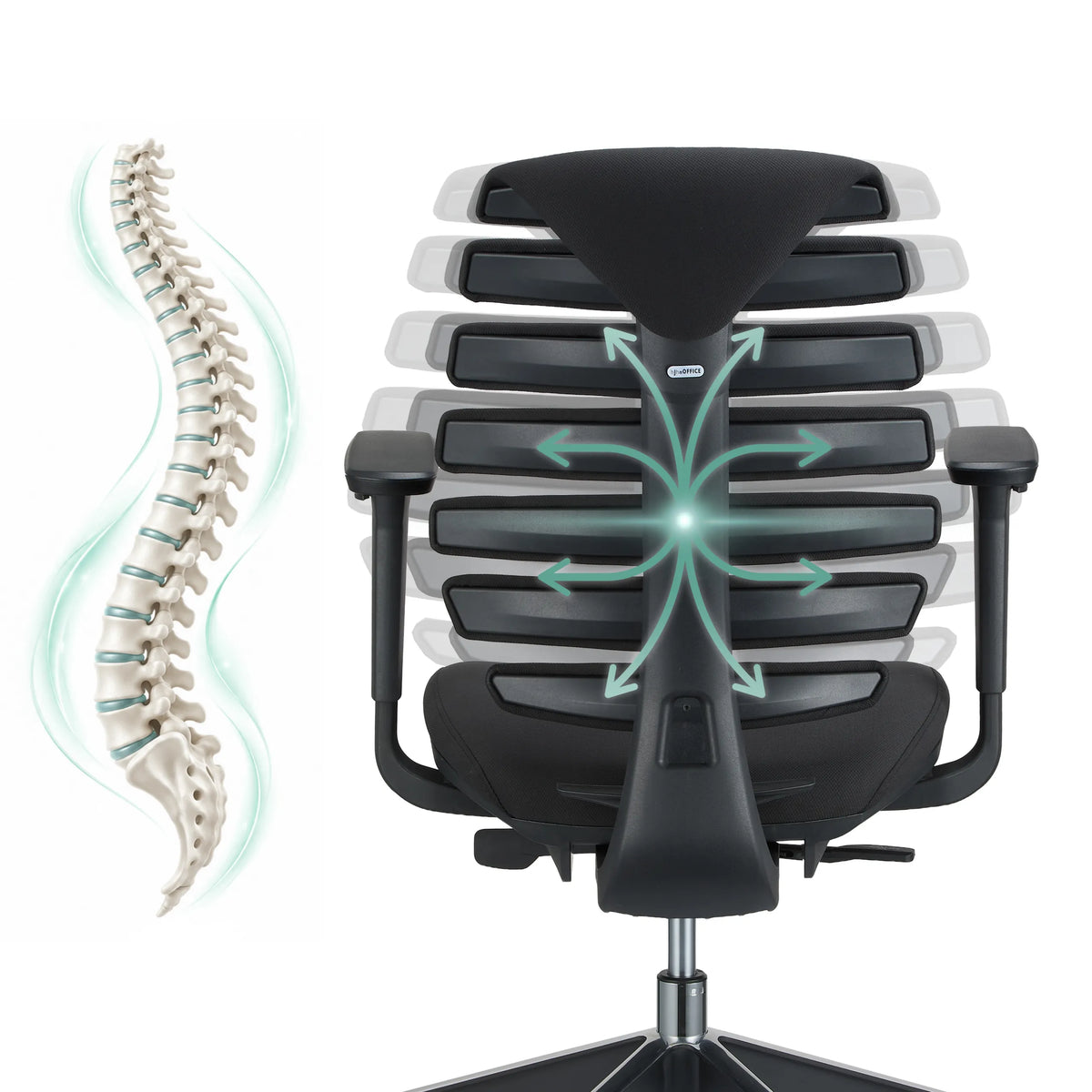 Schienale della sedia da ufficio professionale ERGO LINE II con una rappresentazione schematica di una colonna vertebrale di hjh OFFICE