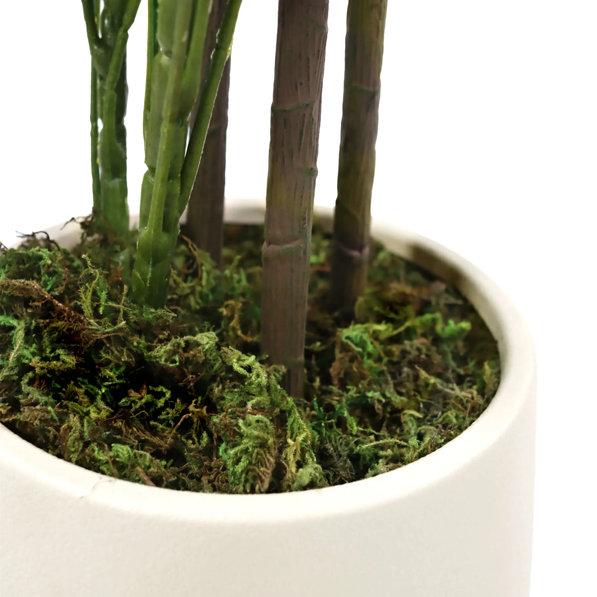 Steli e base di muschio della Piante artificiali Schefflera 2 in un vaso bianco di hjh OFFICE
