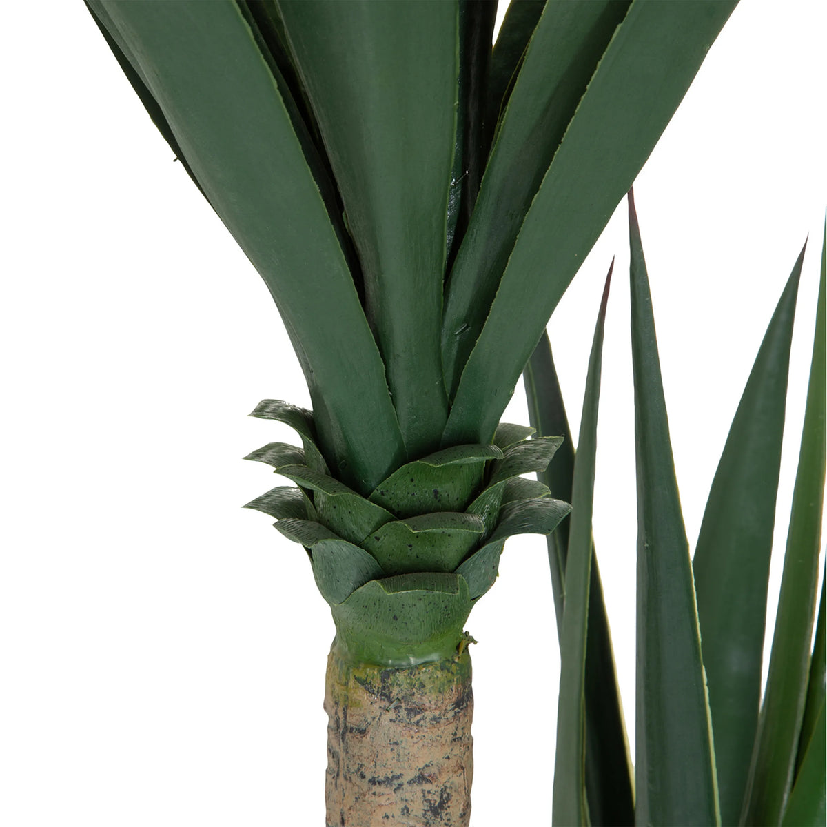 Fusto e base delle foglie della pianta artificiale YUCCA in verde di hjh OFFICE