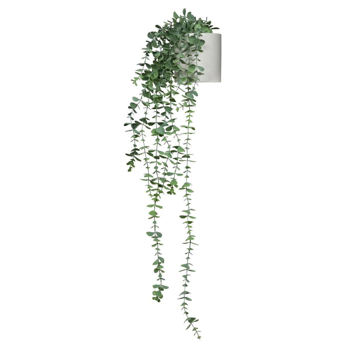 Piante artificiali verdi EUCALYPTUS CLIMB con foglie ricadenti in un vaso bianco di hjh OFFICE