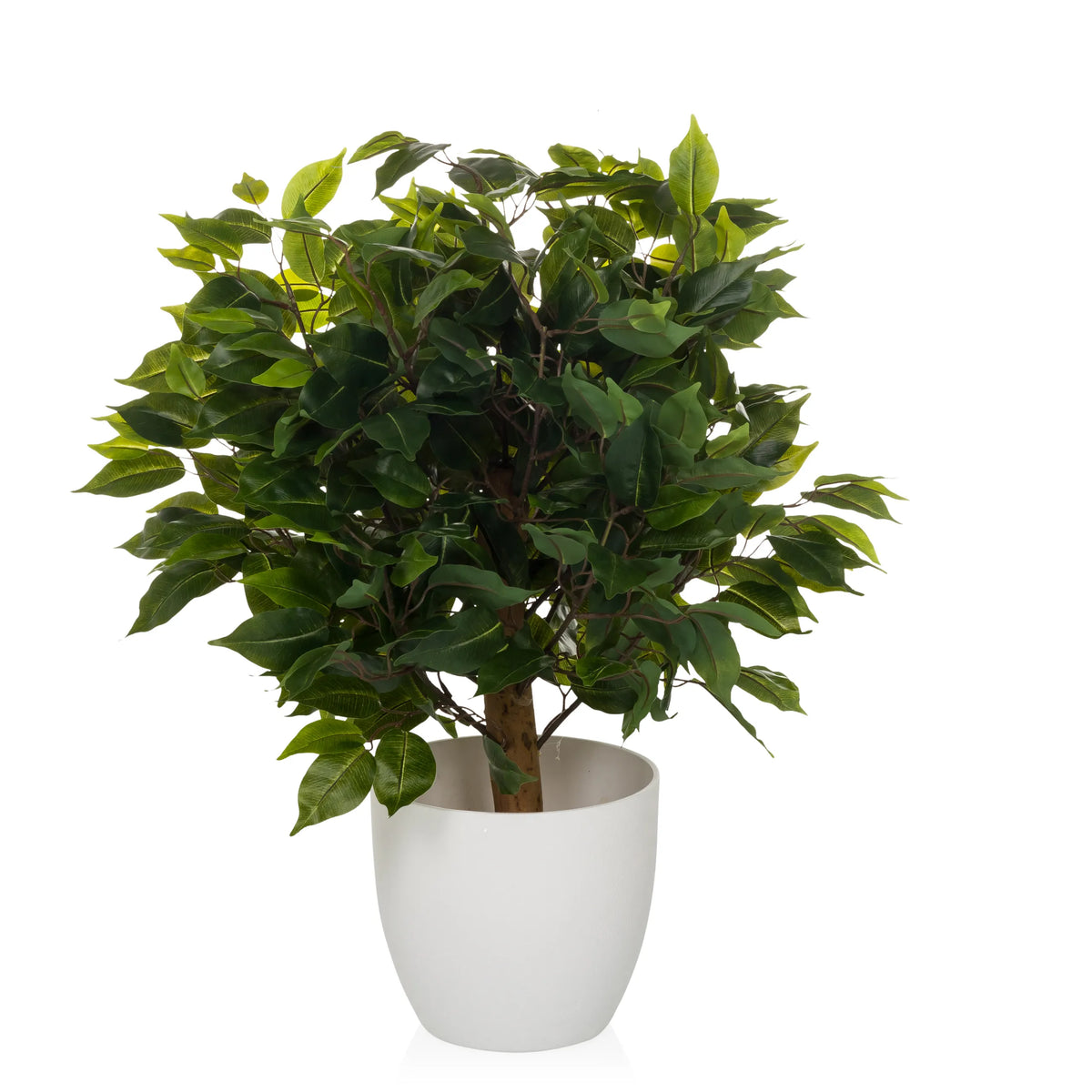 Piante artificiali verdi FICUS II in un vaso bianco di hjh OFFICE – vista a 360° (profilo laterale 90°)