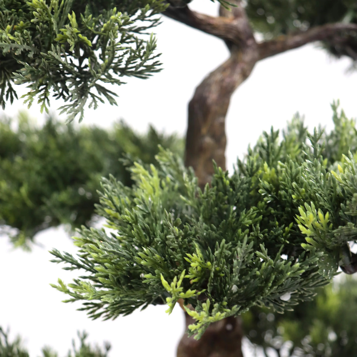 Rami d'aghi verdi e tronco marrone della pianta artificiale BONSAI di hjh OFFICE