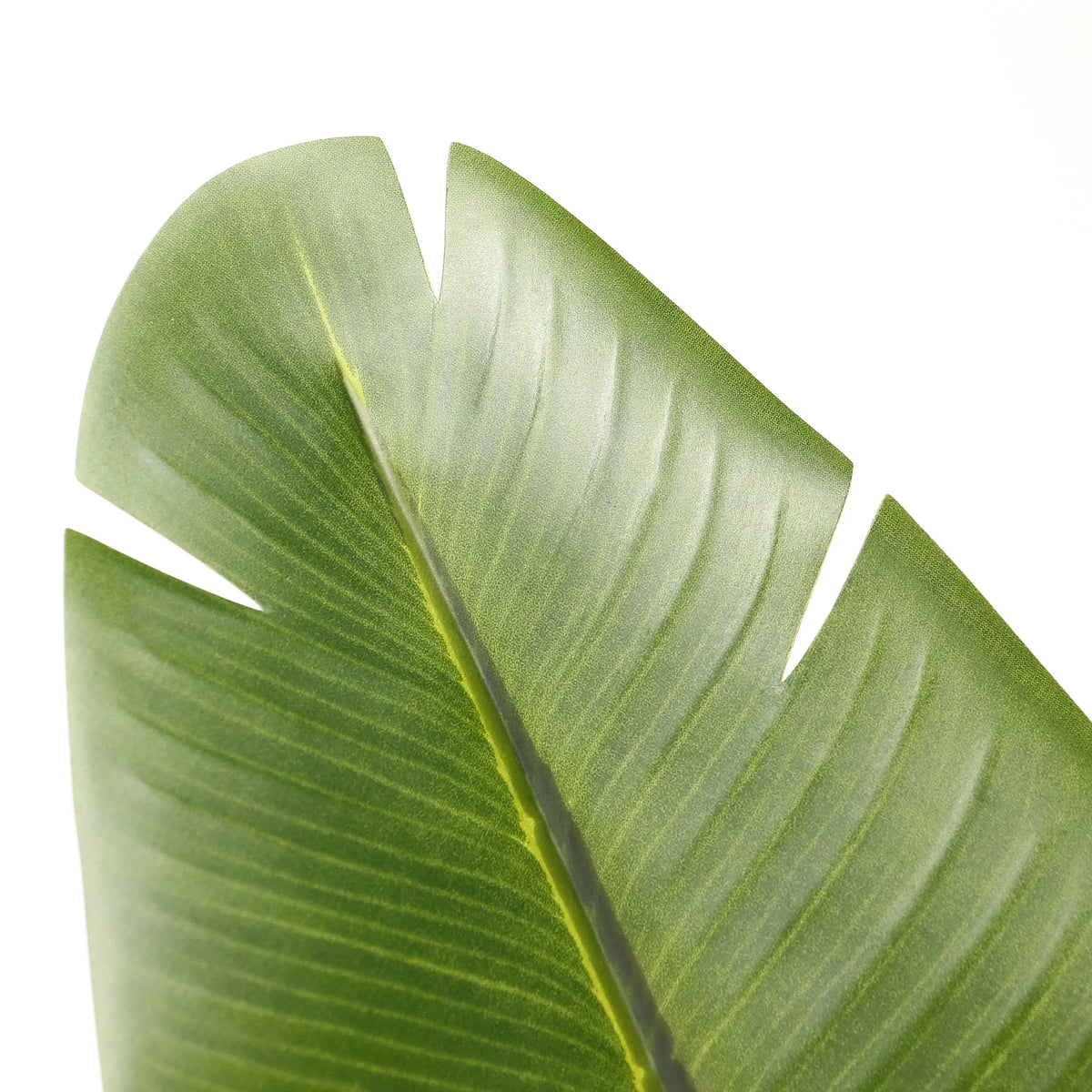 Foglia verde della Piante artificiali BANANE di hjh OFFICE