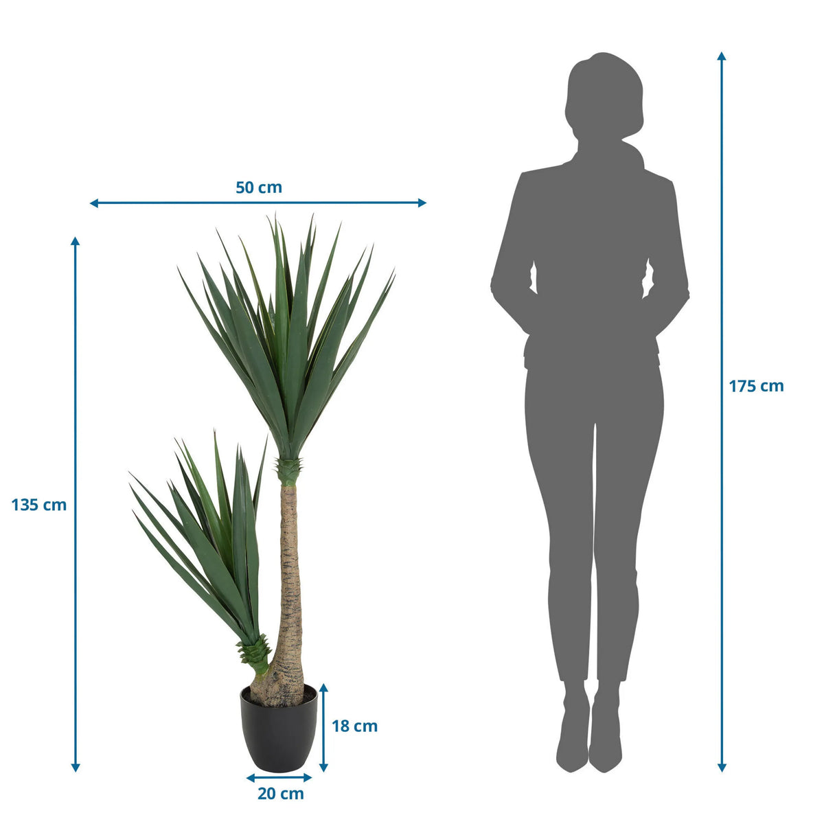 Disegno dimensionale della Piante artificiali YUCCA con un'altezza di 135 cm e una larghezza di 50 cm di hjh OFFICE