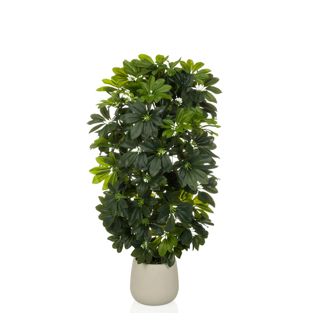Piante artificiali Schefflera 2 in verde con foglie folte in un semplice vaso beige di hjh OFFICE