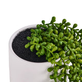 Pianta artificiale verde nel vaso bianco del modello Senecio Climb di hjh OFFICE