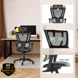 Poggiatesta e supporto lombare regolabili della poltrona di lusso ERGOHUMAN SLIM ECO M GEN2 in nero di hjh OFFICE