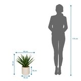 Disegno tecnico della Piante artificiali Agave con altezza 45 cm e larghezza 40 cm di hjh OFFICE
