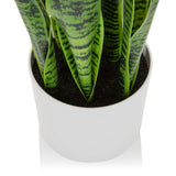 Vaso bianco della Piante artificiali SANSEVIERIA con foglie verdi di hjh OFFICE