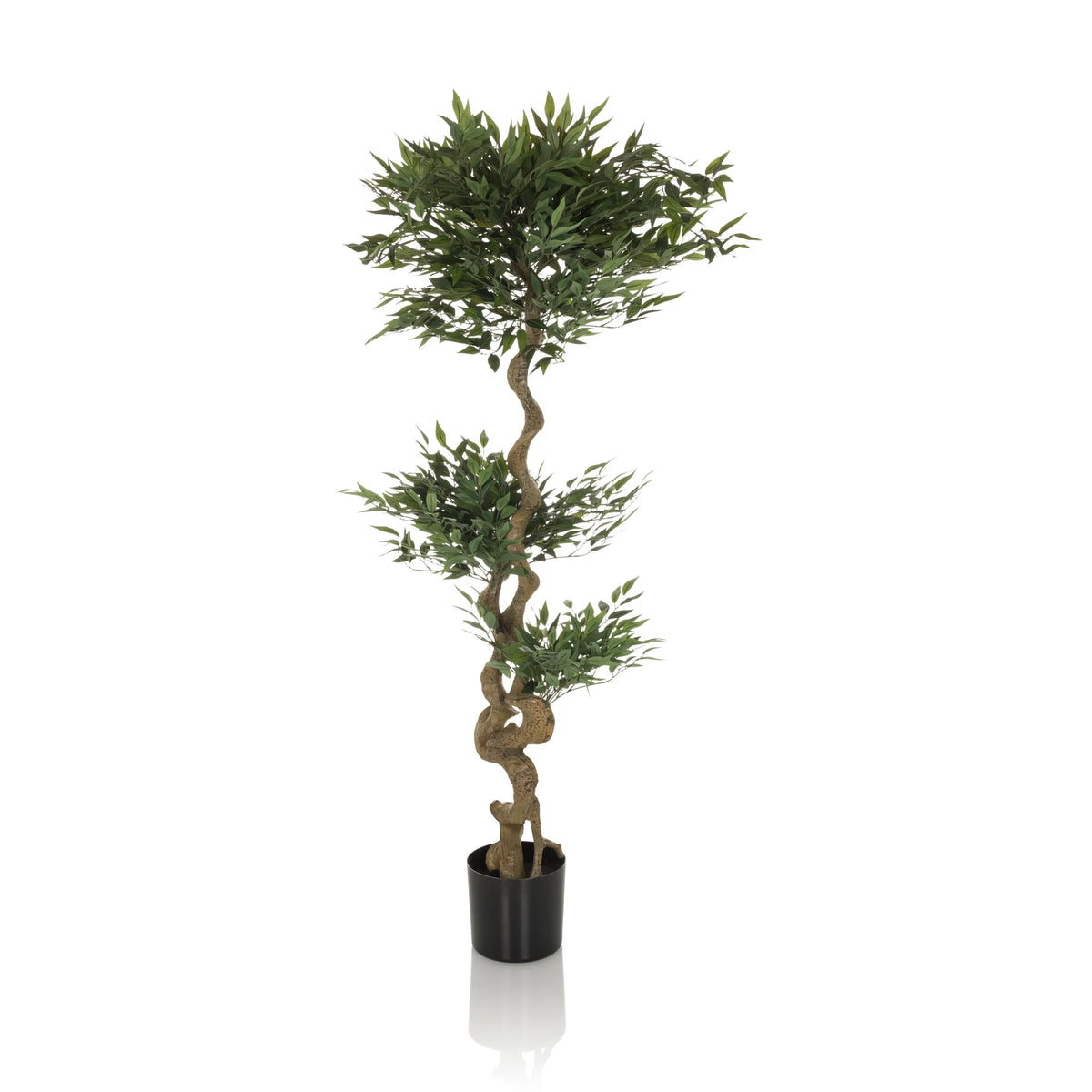 Piante artificiali verdi ACACIA con tronco attorcigliato in vaso nero di hjh OFFICE – vista a 360° (profilo laterale 90°)