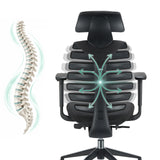 Schienale della sedia da ufficio professionale ERGO LINE II PRO con rappresentazione di una colonna vertebrale e frecce di hjh OFFICE