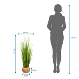 Disegno tecnico della Piante artificiali CORTADERIA con altezza di 112 cm e larghezza di 30 cm di hjh OFFICE