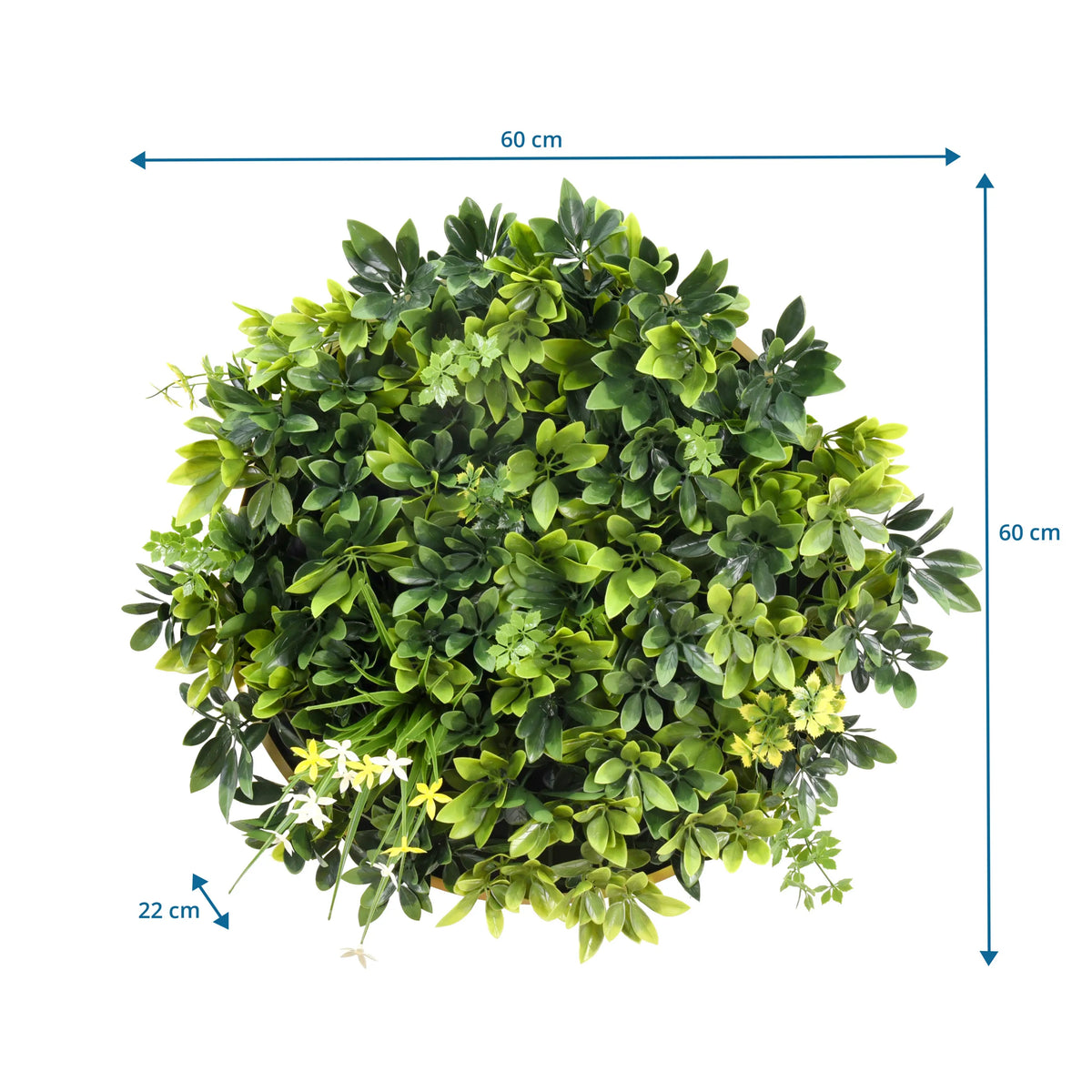 Disegno dimensionale del Pannello vegetale LEAFLUXE WALL 2 con 60 × 60 cm e una profondità di 22 cm di hjh LIVING