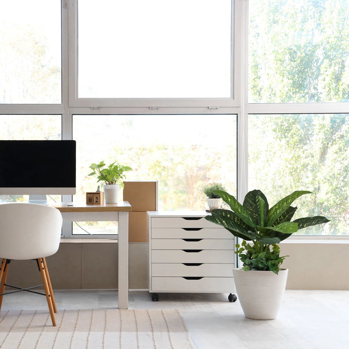 Piante artificiali verde DIEFFENBACHIA in un coprivaso bianco davanti a una finestra luminosa di hjh OFFICE