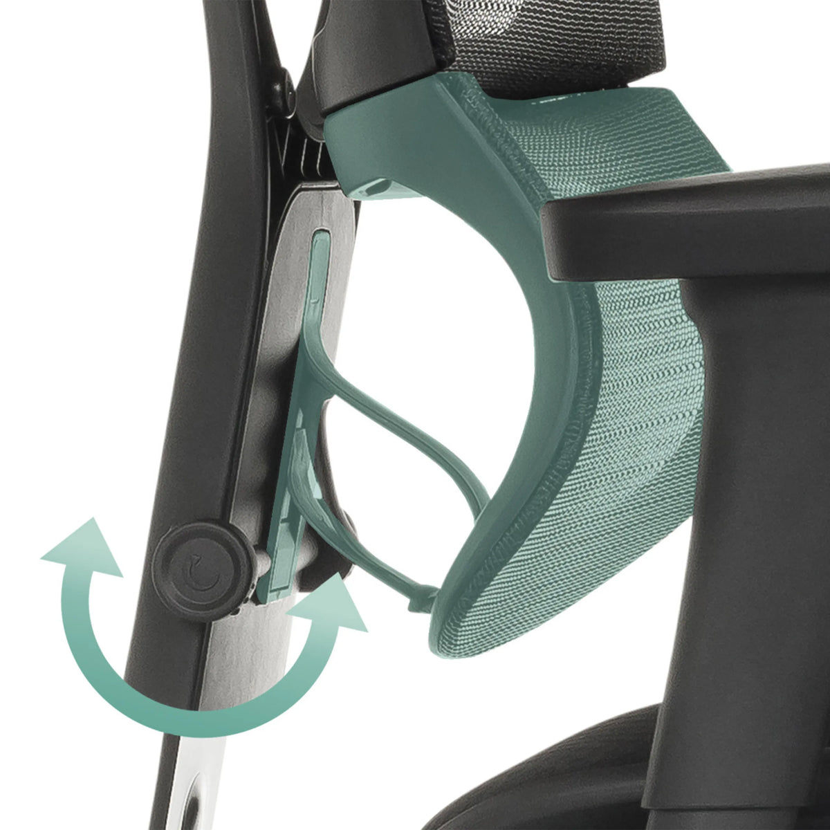Meccanismo regolabile dello schienale della poltrona di lusso ERGOHUMAN SLIM ECO F GEN2 di hjh OFFICE
