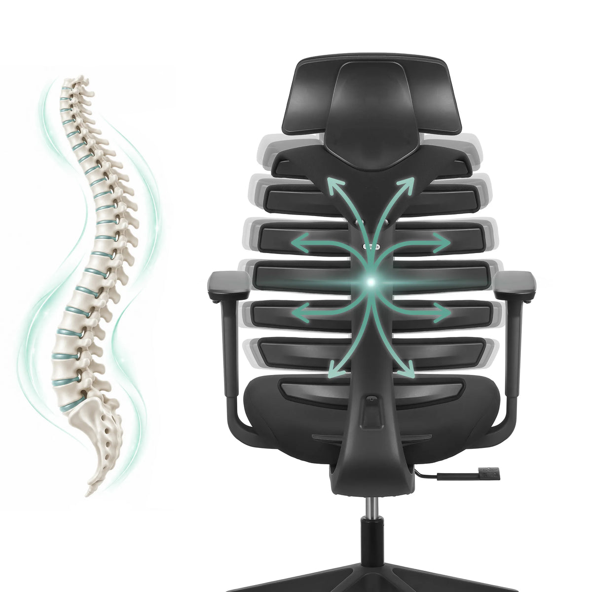 Schienale della sedia da ufficio professionale ERGO LINE ECO con rappresentazione grafica della colonna vertebrale di hjh OFFICE