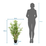 Disegno tecnico della Piante artificiali MINI BAMBUS con un'altezza di 100 cm e una larghezza di 60 cm di hjh OFFICE