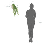 Disegno dimensionale della pianta da parete Filix con un'altezza totale di 55 cm e una larghezza di 12 cm di hjh OFFICE