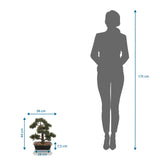 Vista dimensionale della Piante artificiali BONSAI con un'altezza di 44 cm in confronto a una persona di hjh OFFICE