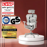Poltrona di lusso ERGOHUMAN ULTRA G GEN2 in grigio con rivestimento in rete e vari sigilli di certificazione di hjh OFFICE