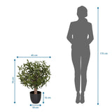 Vista dimensionale delle Piante artificiali Olive S con un'altezza di 70 cm e una larghezza di 45 cm di hjh OFFICE